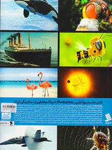 کتاب دانستنیها جلد یازدهم به من بگو چرا